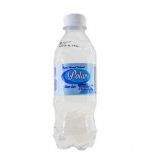 Agua Mineral Polar S/Gás 350 Ml