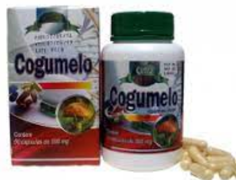 Cogumelo 60 Caps 500 Mg / Prevenção de doenças do coração, hepatite crônica e diabetes